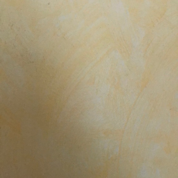 Meet your Posher, Sophie - Picture 1 of 1